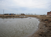 Beach, Baku, Azerbaijan, June 7, 2009