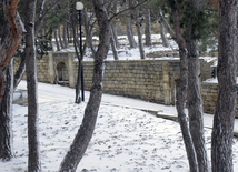 Bakıda ilk qar,Bakı,Azərbaycan,26 yanvar 2010-cu il.
 
