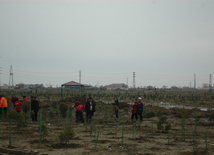 Construction of SOCAR's filling station, Baku, Azerbaijan, March 1, 2010  