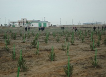 Construction of SOCAR's filling station, Baku, Azerbaijan, March 1, 2010  