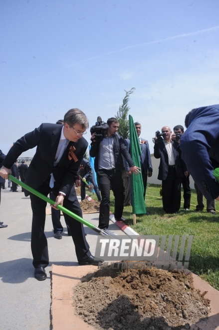 Flowers laid at common graves of Great Patriotic War heroes in Baku, Baku, Azerbaijan, May 7, 2010