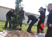 Flowers laid at common graves of Great Patriotic War heroes in Baku, Baku, Azerbaijan, May 7, 2010