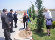 Flowers laid at common graves of Great Patriotic War heroes in Baku, Baku, Azerbaijan, May 7, 2010