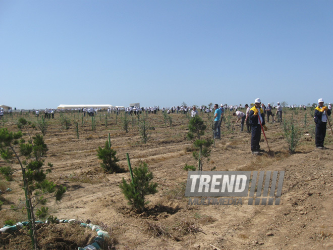 Representatives of various ministries and embassies conduct campaign on tree planting with participation of media near Heydar Aliyev airport, Baku, Azerbaijan, June 3, 2010