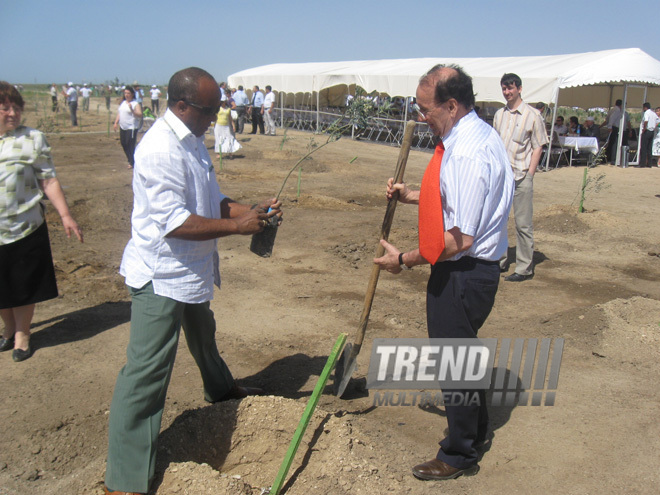 Representatives of various ministries and embassies conduct campaign on tree planting with participation of media near Heydar Aliyev airport, Baku, Azerbaijan, June 3, 2010