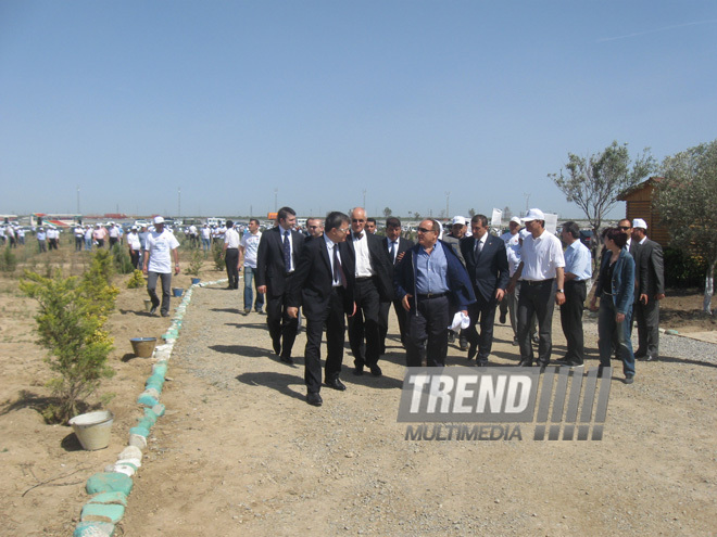 Representatives of various ministries and embassies conduct campaign on tree planting with participation of media near Heydar Aliyev airport, Baku, Azerbaijan, June 3, 2010