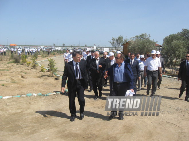 Representatives of various ministries and embassies conduct campaign on tree planting with participation of media near Heydar Aliyev airport, Baku, Azerbaijan, June 3, 2010