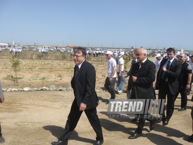 Representatives of various ministries and embassies conduct campaign on tree planting with participation of media near Heydar Aliyev airport, Baku, Azerbaijan, June 3, 2010