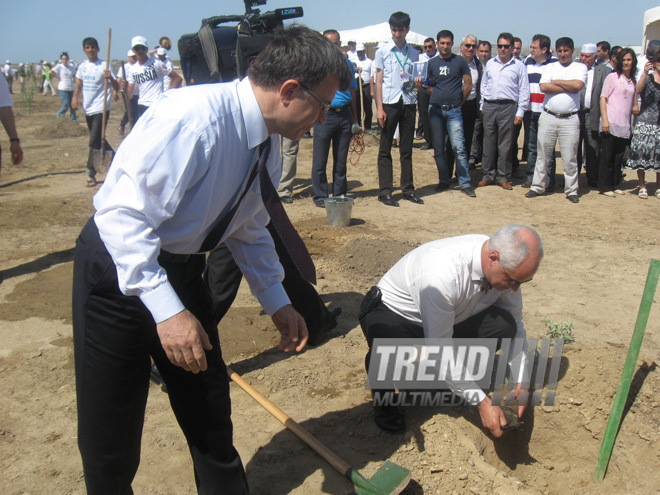 Representatives of various ministries and embassies conduct campaign on tree planting with participation of media near Heydar Aliyev airport, Baku, Azerbaijan, June 3, 2010