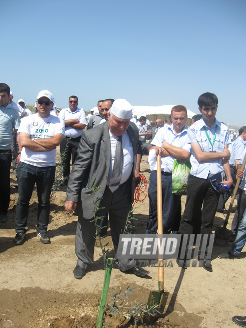 Representatives of various ministries and embassies conduct campaign on tree planting with participation of media near Heydar Aliyev airport, Baku, Azerbaijan, June 3, 2010