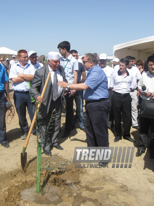 Representatives of various ministries and embassies conduct campaign on tree planting with participation of media near Heydar Aliyev airport, Baku, Azerbaijan, June 3, 2010