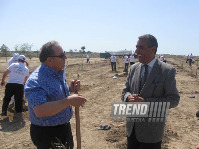 Representatives of various ministries and embassies conduct campaign on tree planting with participation of media near Heydar Aliyev airport, Baku, Azerbaijan, June 3, 2010