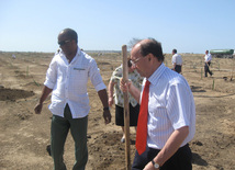 Representatives of various ministries and embassies conduct campaign on tree planting with participation of media near Heydar Aliyev airport, Baku, Azerbaijan, June 3, 2010