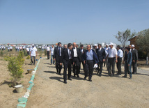 Representatives of various ministries and embassies conduct campaign on tree planting with participation of media near Heydar Aliyev airport, Baku, Azerbaijan, June 3, 2010