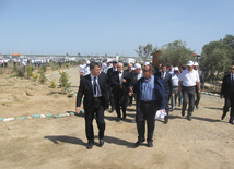 Representatives of various ministries and embassies conduct campaign on tree planting with participation of media near Heydar Aliyev airport, Baku, Azerbaijan, June 3, 2010