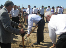 Representatives of various ministries and embassies conduct campaign on tree planting with participation of media near Heydar Aliyev airport, Baku, Azerbaijan, June 3, 2010