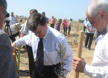 Representatives of various ministries and embassies conduct campaign on tree planting with participation of media near Heydar Aliyev airport, Baku, Azerbaijan, June 3, 2010