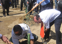 Representatives of various ministries and embassies conduct campaign on tree planting with participation of media near Heydar Aliyev airport, Baku, Azerbaijan, June 3, 2010