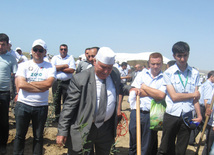 Representatives of various ministries and embassies conduct campaign on tree planting with participation of media near Heydar Aliyev airport, Baku, Azerbaijan, June 3, 2010