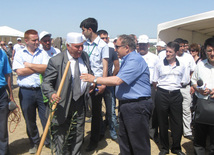 Representatives of various ministries and embassies conduct campaign on tree planting with participation of media near Heydar Aliyev airport, Baku, Azerbaijan, June 3, 2010