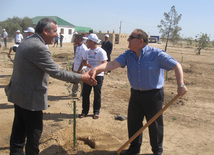 Representatives of various ministries and embassies conduct campaign on tree planting with participation of media near Heydar Aliyev airport, Baku, Azerbaijan, June 3, 2010