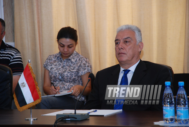 Azərbaycanın sənaye və enerjetika naziri Natiq Əliyevin Misirin neft naziri Əmin Sameh Fəhmi ilə görüşü, Bakı, Azərbaycan, 07 iyul 2010