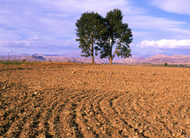 Landscapes of Azerbaijan, Baku, Azerbaijan, September 10, 2010