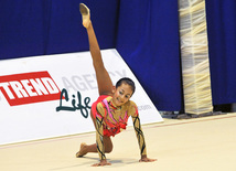 Bakıda bədii gimnastika üzrə 17-ci açıq Azərbaycan birinciliyi başlayb, Azərbaycan,Baki,9 noyabr 2010
 