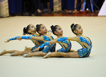 Bakıda bədii gimnastika üzrə XVII Açıq Azərbaycan Birinciliyi və Bakı çempionatı yekunlaşıb, Bakı, Azərbaycan, 10 noyabr 2010