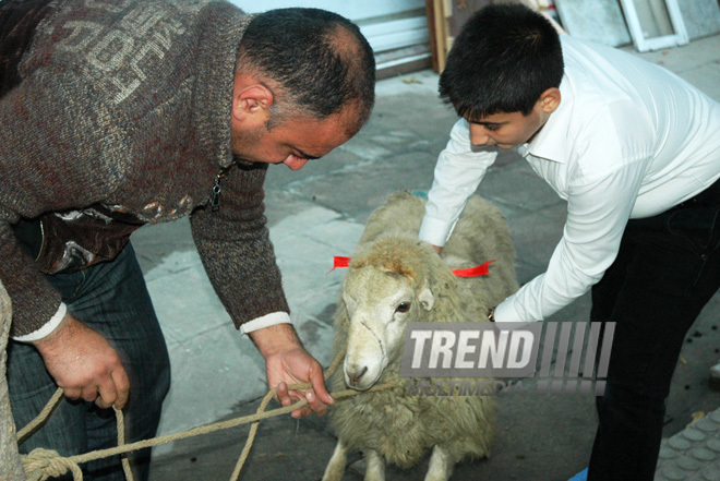 Azerbaijan marks Gurban holiday,  Baku, Azerbaijan, Nov.15, 2010