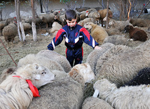 Azerbaijan marks Gurban holiday,  Baku, Azerbaijan, Nov.15, 2010