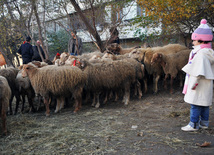 Azerbaijan marks Gurban holiday,  Baku, Azerbaijan, Nov.15, 2010