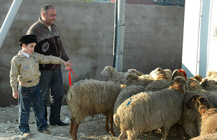 Azerbaijan marks Gurban holiday,  Baku, Azerbaijan, Nov.15, 2010