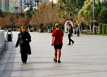 Bakı bulvarında payız rəngləri, Bakı, Azərbaycan, 30 noyabr 2010 