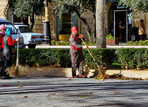 Bakı bulvarında payız rəngləri, Bakı, Azərbaycan, 30 noyabr 2010 