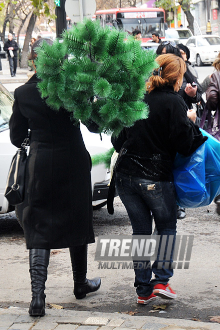 New Year troubles of Baku residents, Baku, Azerbaijan, Dec 22, 2010 