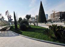 Bakı Ticarət Limanı yaxınlığında yeni park, Bakı, Azərbaycan, 06 yanvar 2011