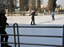 Bakı Ticarət Limanı yaxınlığında yeni park, Bakı, Azərbaycan, 06 yanvar 2011