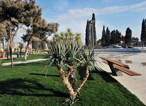 Bakı Ticarət Limanı yaxınlığında yeni park, Bakı, Azərbaycan, 06 yanvar 2011