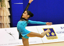 Bədii gimnastika üzrə XVIII Bakı birinciliyi, Bakı, Azərbaycan, 05 fevral 2011