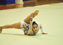 Bədii gimnastika üzrə XVIII Bakı birinciliyi, Bakı, Azərbaycan, 05 fevral 2011