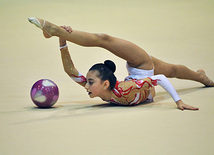 Bədii gimnastika üzrə XVIII Bakı birinciliyi, Bakı, Azərbaycan, 05 fevral 2011