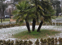 Bakıda ilk qar, Bakı, Azərbaycan, 16 fevral 2011