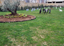 Bakıda Zabitlər Parkı, Azərbaycan, 17 mart 2011