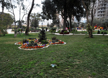 Bakıda Zabitlər Parkı, Azərbaycan, 17 mart 2011