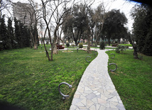 Bakıda Zabitlər Parkı, Azərbaycan, 17 mart 2011