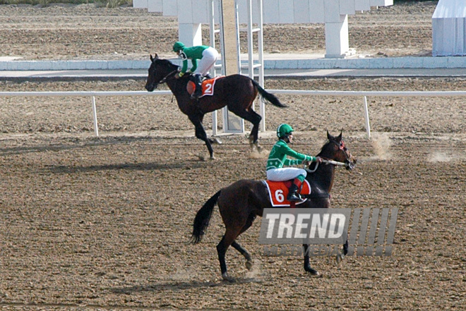 Choosing the winner of the Akhal-Teke horses beauty contest and horse racing, Turkmenistan, Ashgabat, April 23 – 24, 2011