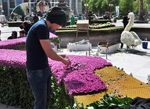 Preparations underway for Flower Holiday in Baku, Azerbaijan, May 09, 2011