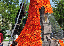 Preparations underway for Flower Holiday in Baku, Azerbaijan, May 09, 2011