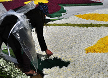 Preparations underway for Flower Holiday in Baku, Azerbaijan, May 09, 2011